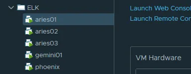 ELK Cluster Arrangement
