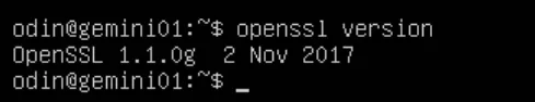 OpenSSL version output