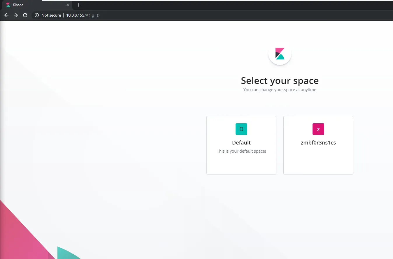 Kibana Space View