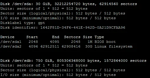 fdisk -l output showing /dev/sdb