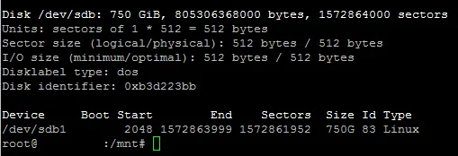 fdisk -l output after creating /dev/sdb1